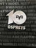 2012/13 Ospreys Home Rugby Shirt (L)