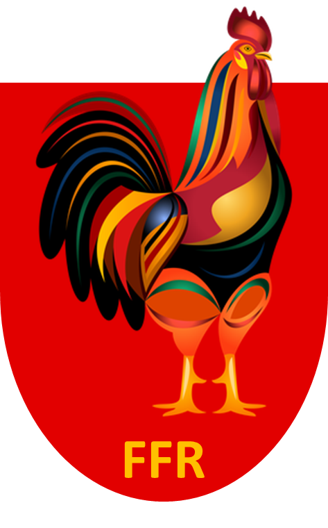 Old France Rugby Shirts