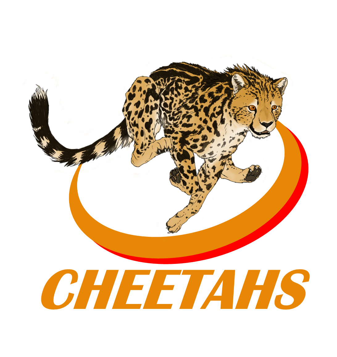 Old Cheetahs Rugby Shirts