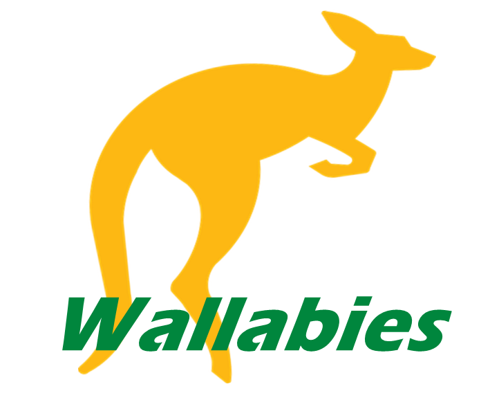 Old Australia Rugby Shirts