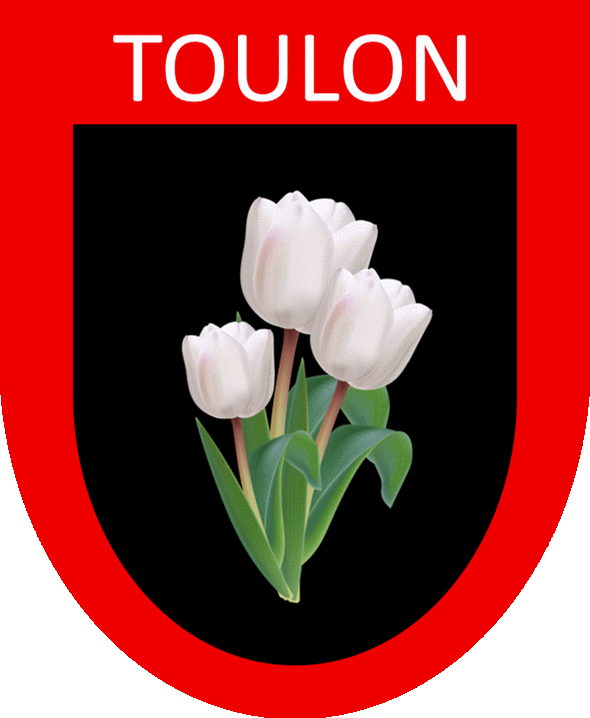 Old Toulon Rugby Shirts