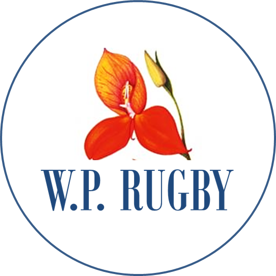 Old Western Province Rugby Shirts