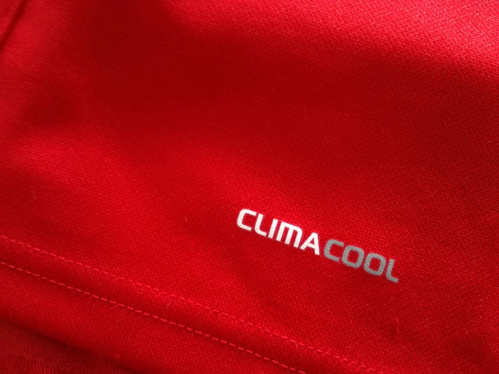 2009 British & Irish Lions Rugby Shirt (M)