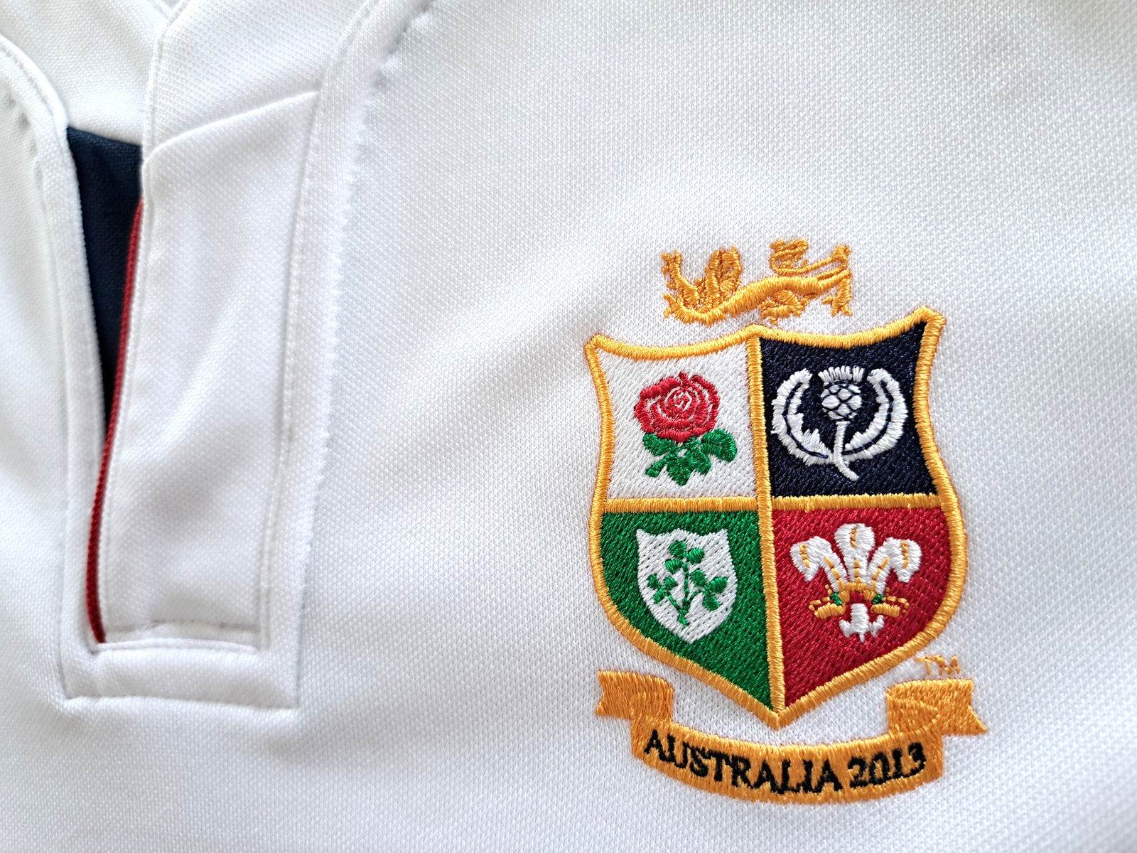 2013 British & Irish Lions Rugby Training Shirt - White (M)