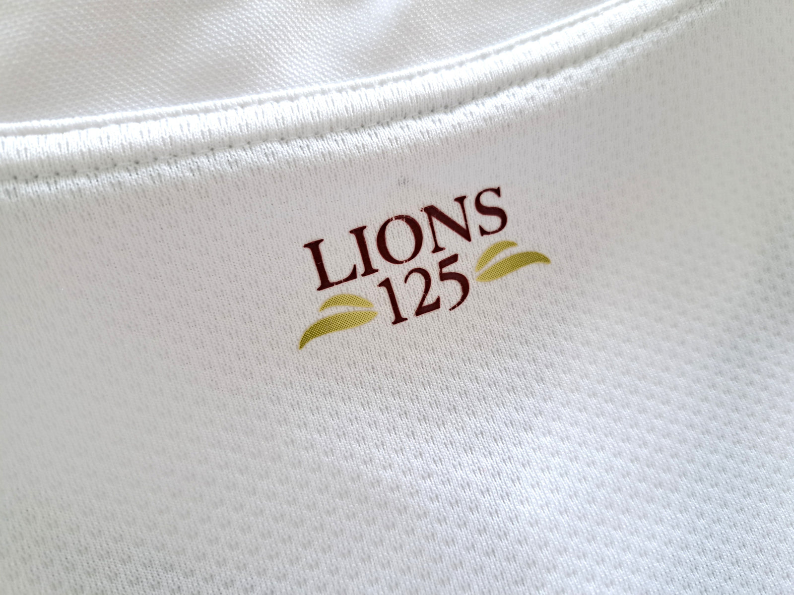 2013 British & Irish Lions Rugby Training Shirt - White (M)