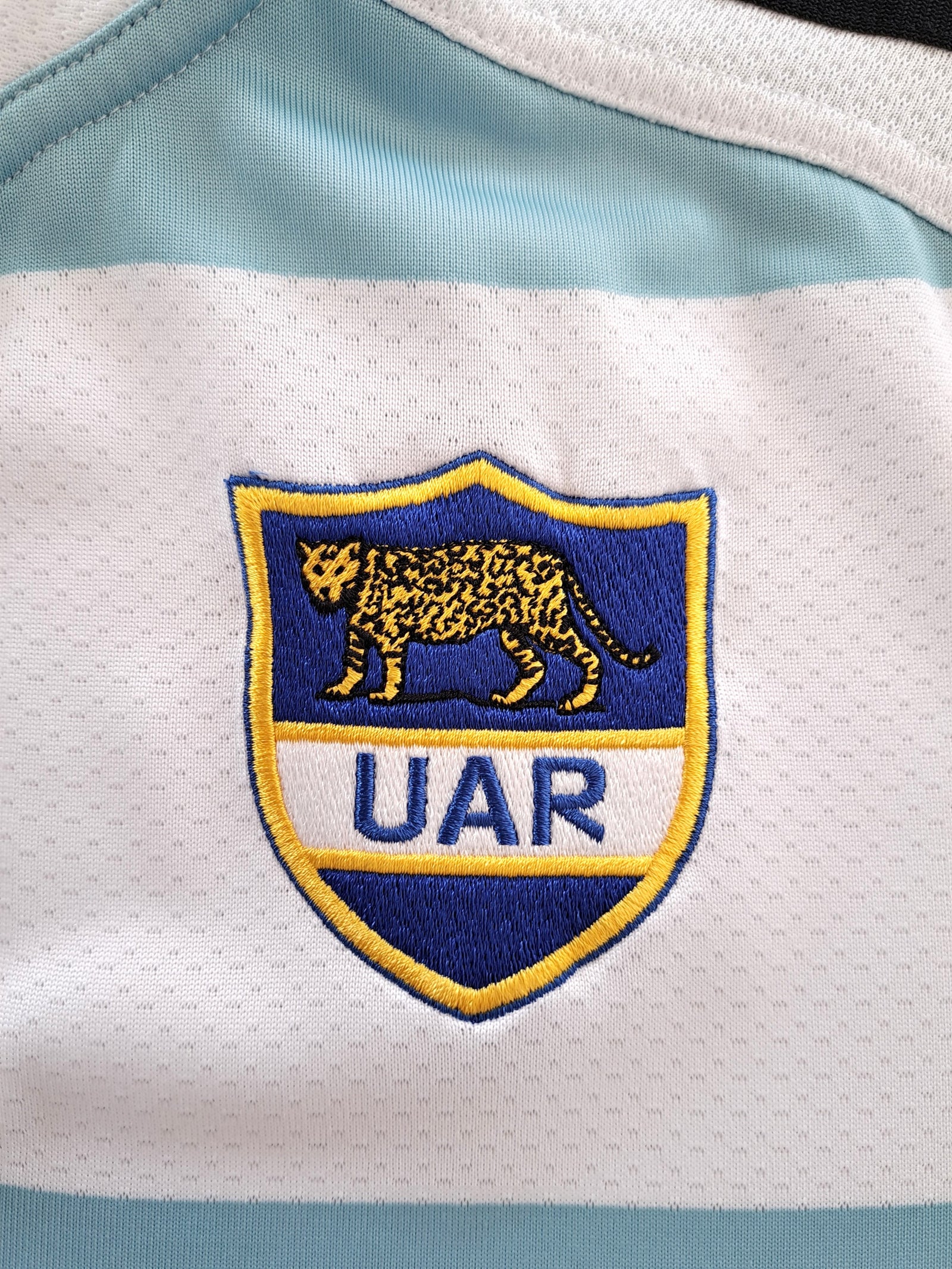 2009/10 Argentina Home Rugby Shirt (M)