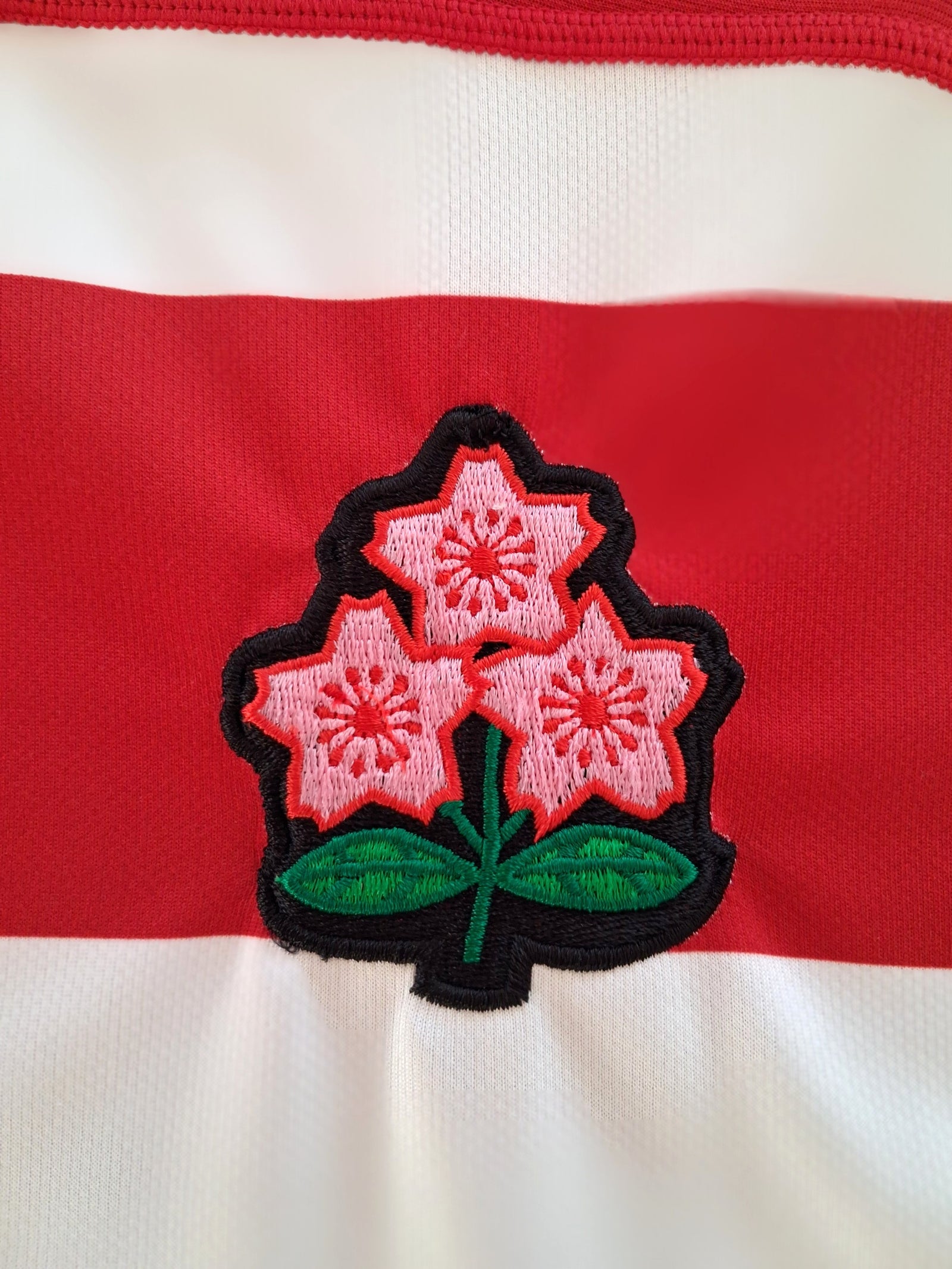 2019/20 Japan Training Shirt (M)