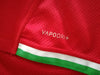 2021 British & Irish Lions Vapodri+ Rugby Shirt (L) *BNWT*