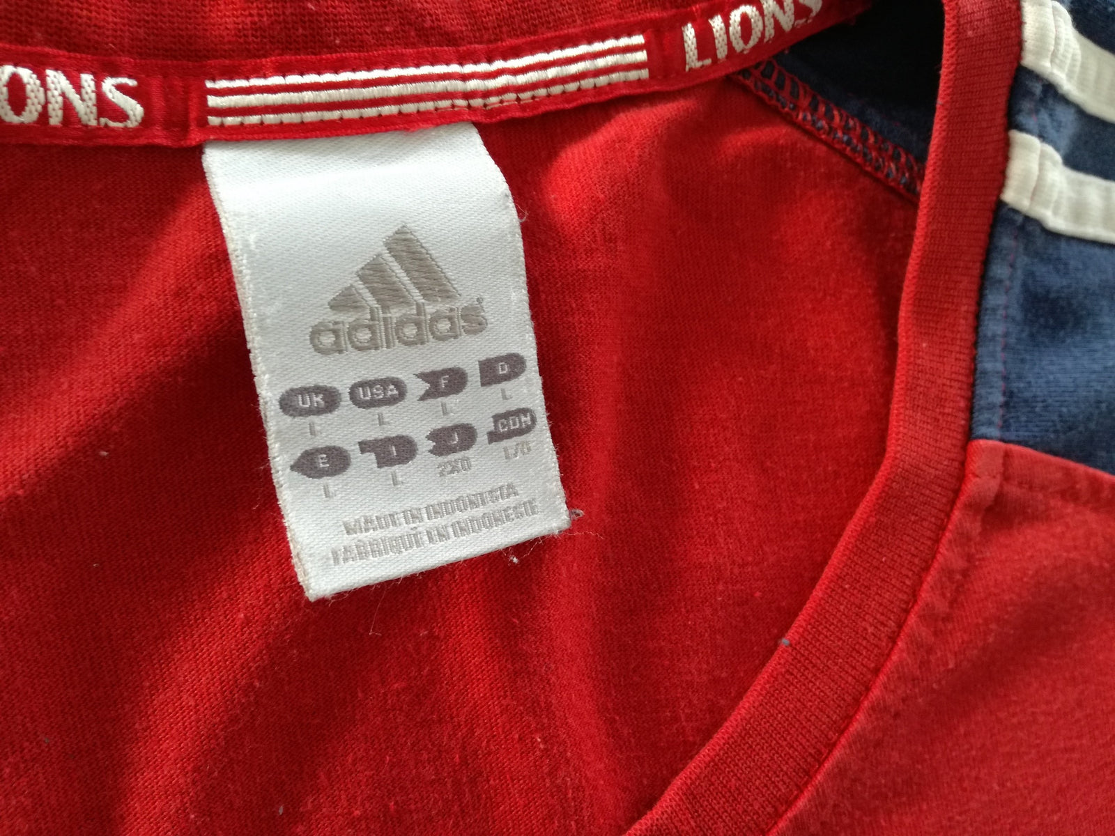 2005 British & Irish Lions Rugby T-Shirt (L)
