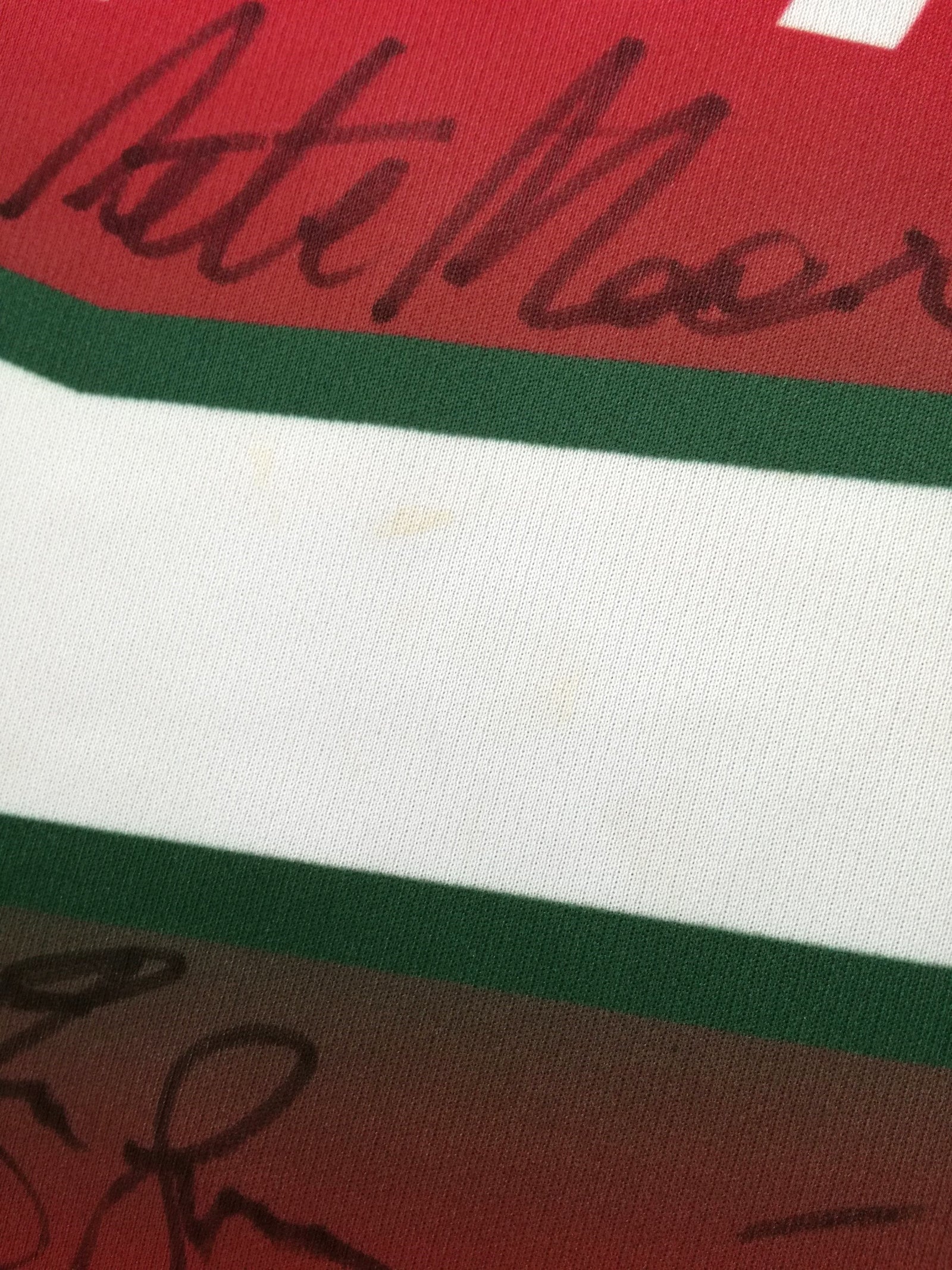 2015/16 Plymouth Albion Home Championship Rugby Shirt (Signed) (S)