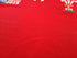2015 Wales Home World Cup Rugby Shirt (S)