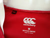 2021 British & Irish Lions Vapodri Rugby Shirt (M)