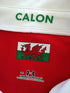 2008/09 Wales Pro-Fit Rugby Training Shirt (M)