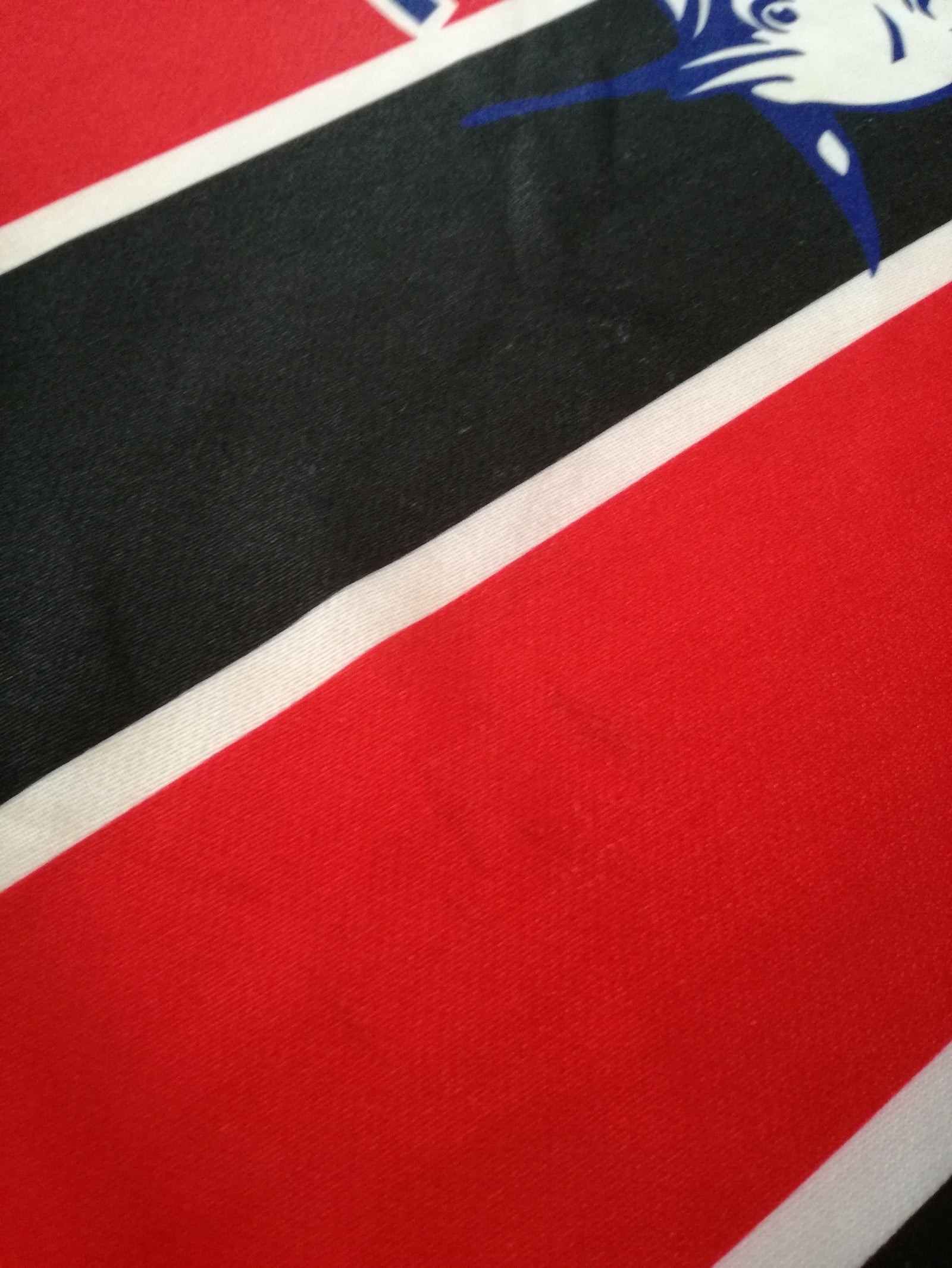 2008/09 Cornish Pirates Home Rugby Shirt (L)