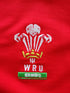 2004/05 Wales Home Pro-Fit Rugby Shirt (L)
