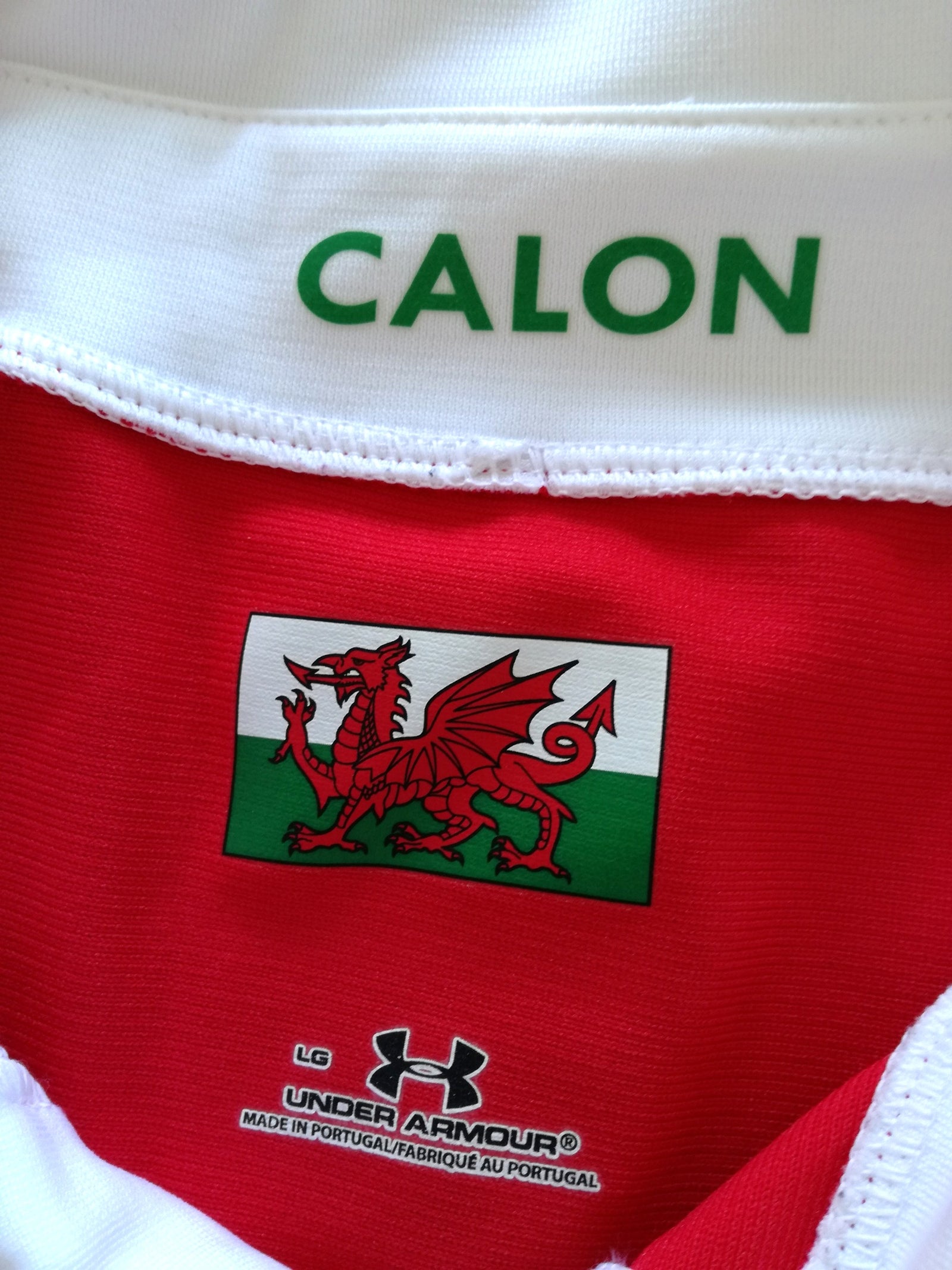 2008/09 Wales Rugby Training Shirt (M)