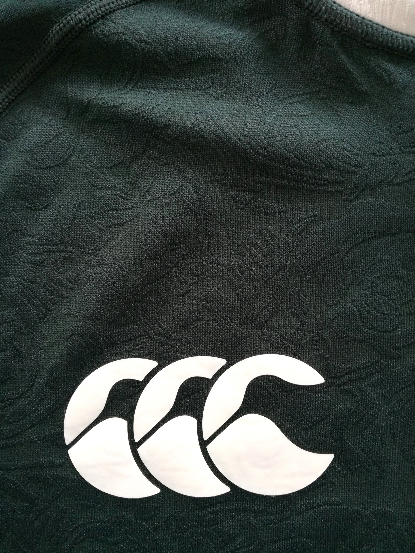2025 British & Irish Lions Training Shirt (3XL)