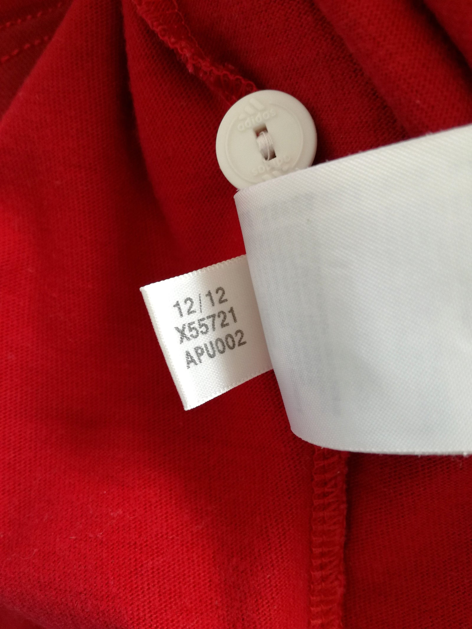 2013 British & Irish Lions 'Supporters' Rugby Shirt. (M)