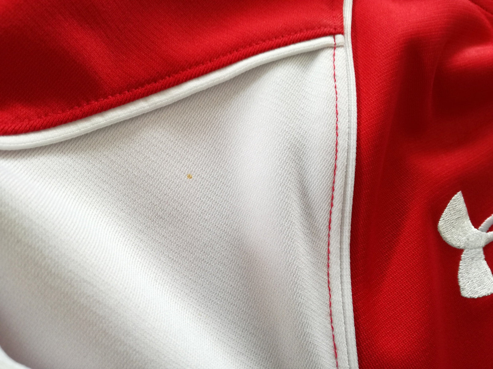2010/11 Wales Home Rugby Shirt. (S)