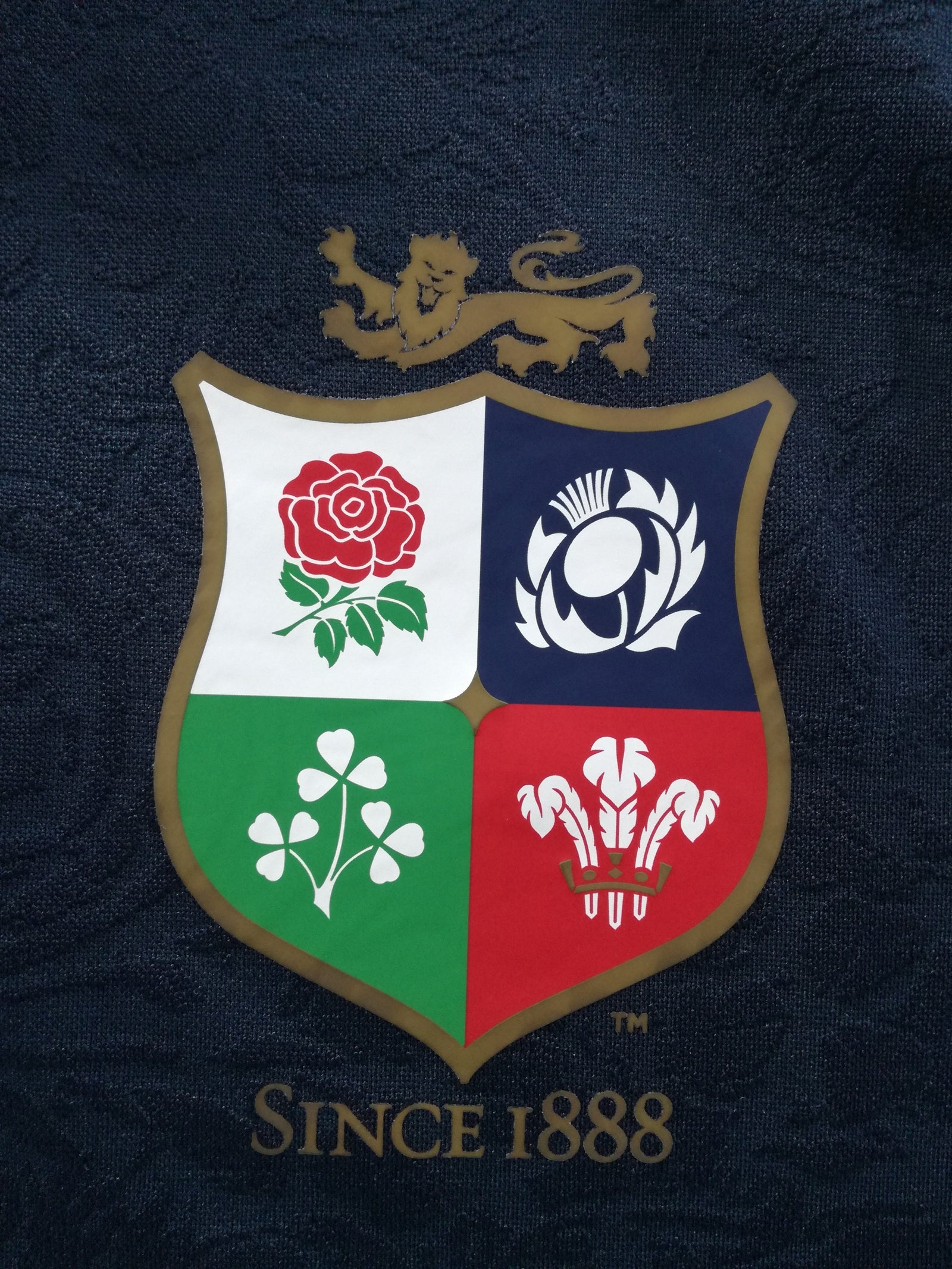 2025 British & Irish Lions Training Shirt - Navy (3XL)