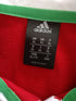 2013 British & Irish Lions 'Supporters' Rugby Shirt. (XL)