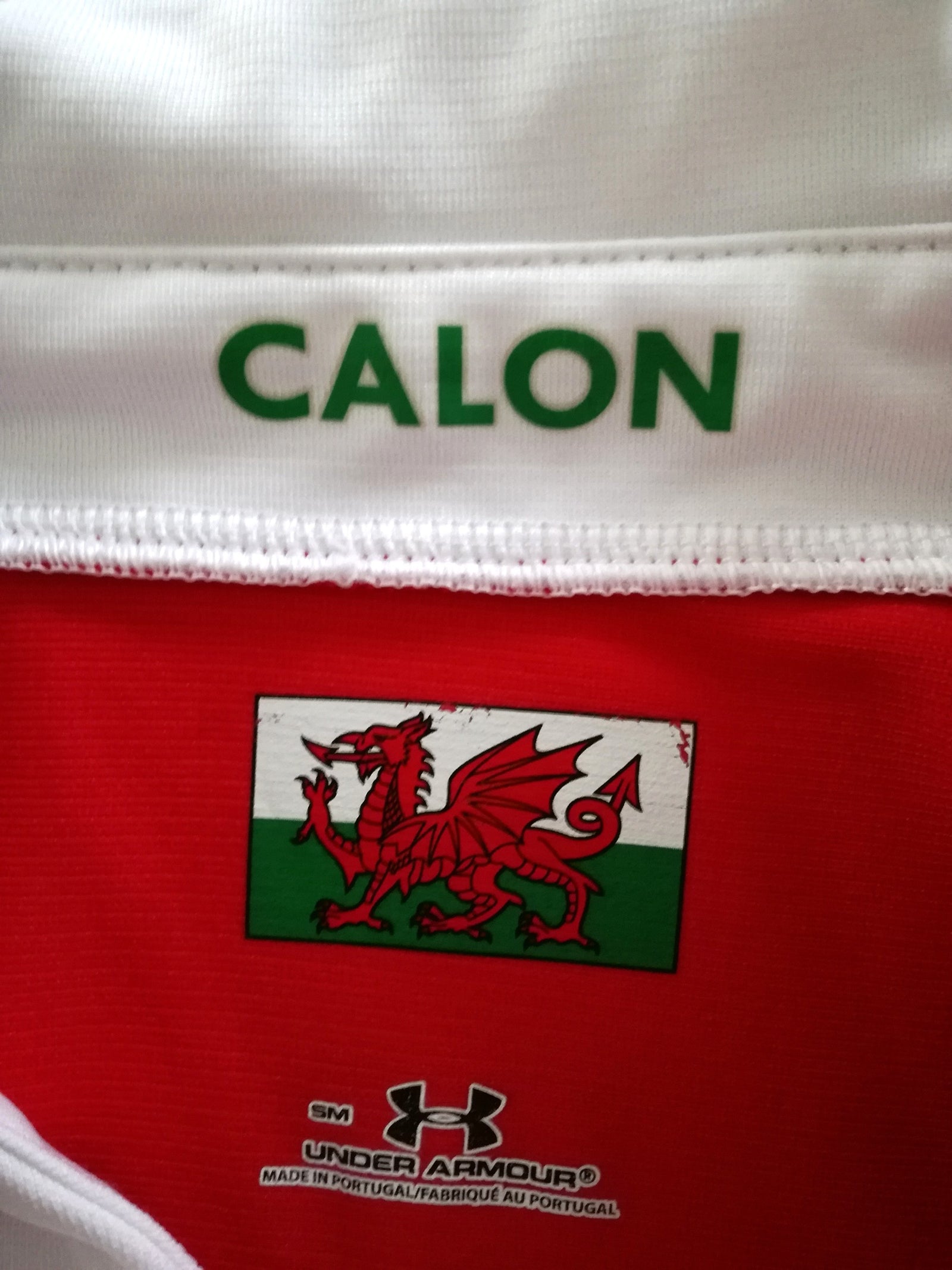 2008/09 Wales Rugby Training Shirt (S)