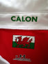 2008/09 Wales Rugby Training Shirt (S)