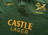 2001 South Africa Home Rugby Shirt. (L)