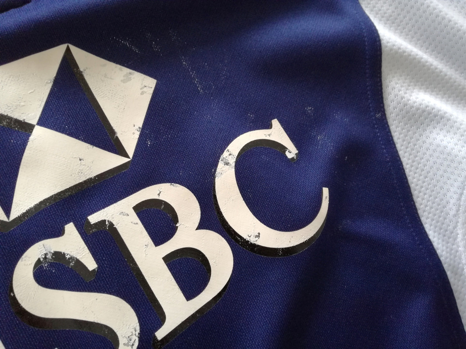 2009 British & Irish Lions Rugby Training Shirt - Navy (M)