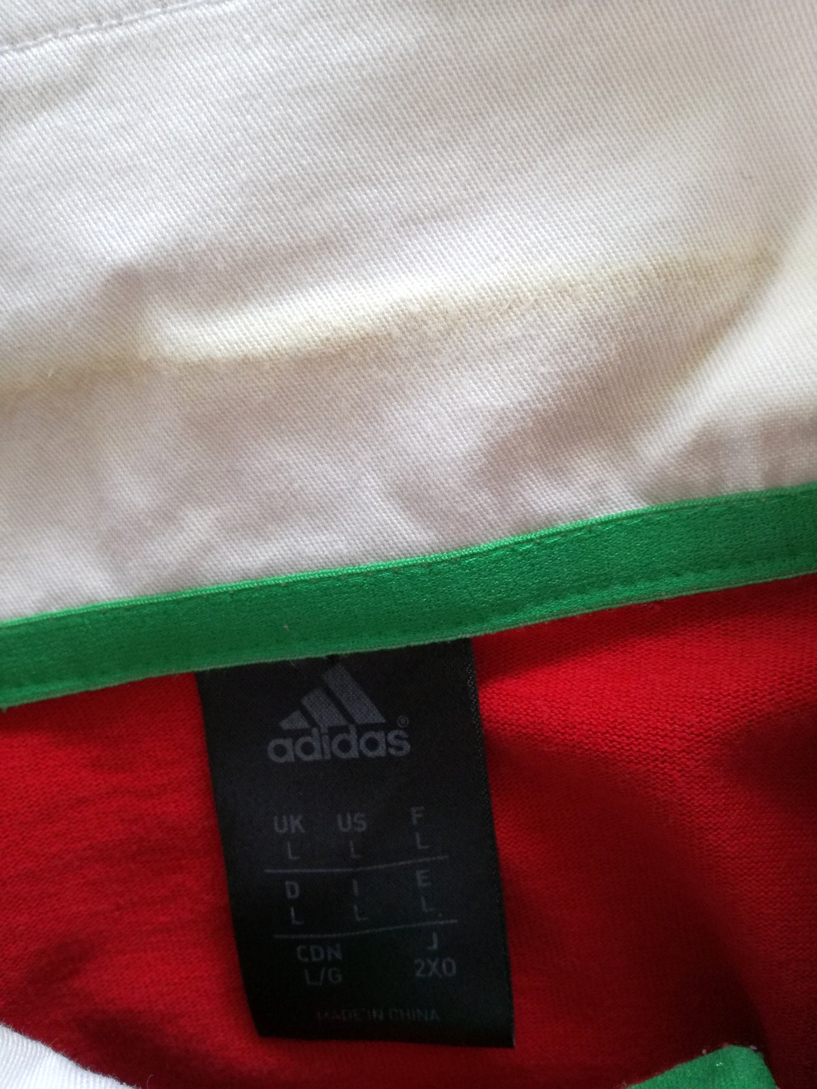 2013 British & Irish Lions 'Supporters' Rugby Shirt. (L)