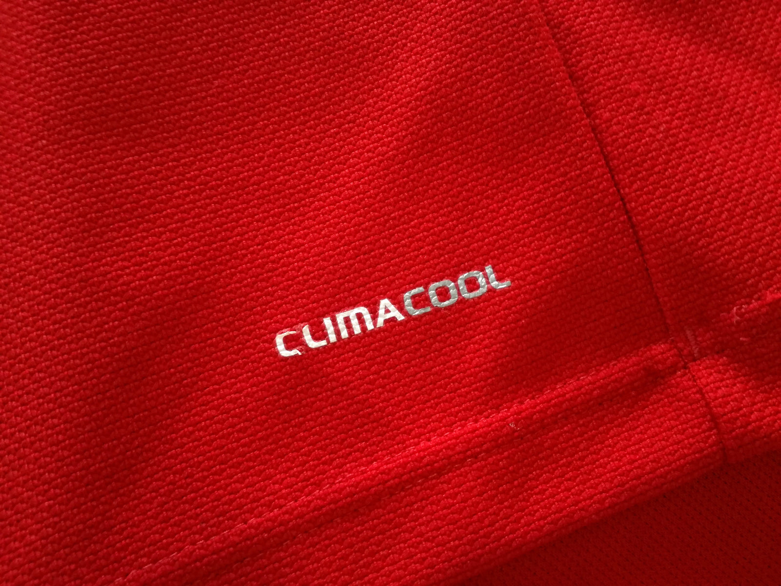 2009 British & Irish Lions Polo Shirt - Red (M)