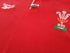 1996/97 Wales Home Rugby Shirt. (L)