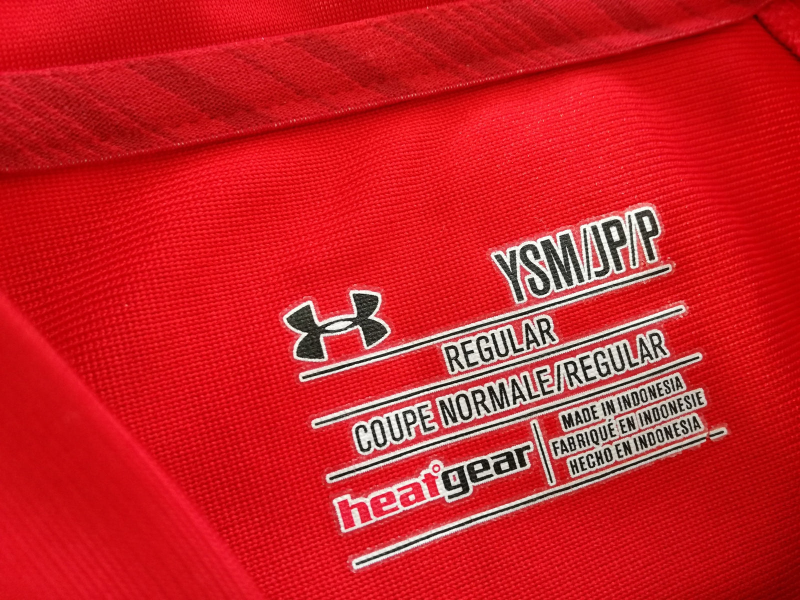 2013/14 Wales Home Pro-Fit Rugby Shirt (Kids)