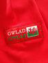 2006/07 Wales Home Pro-Fit Rugby Shirt (XL)