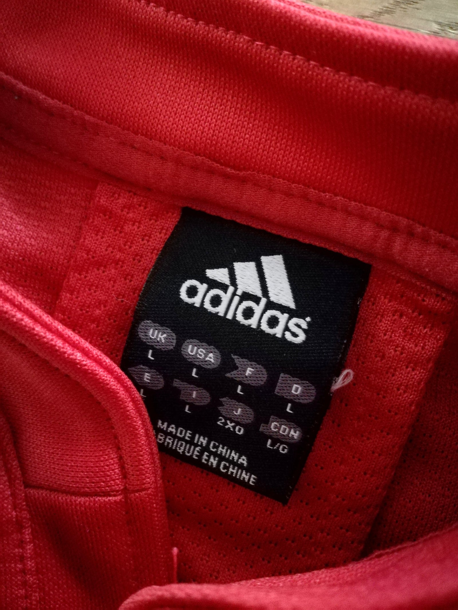 2009 British & Irish Lions Rugby Shirt (L)