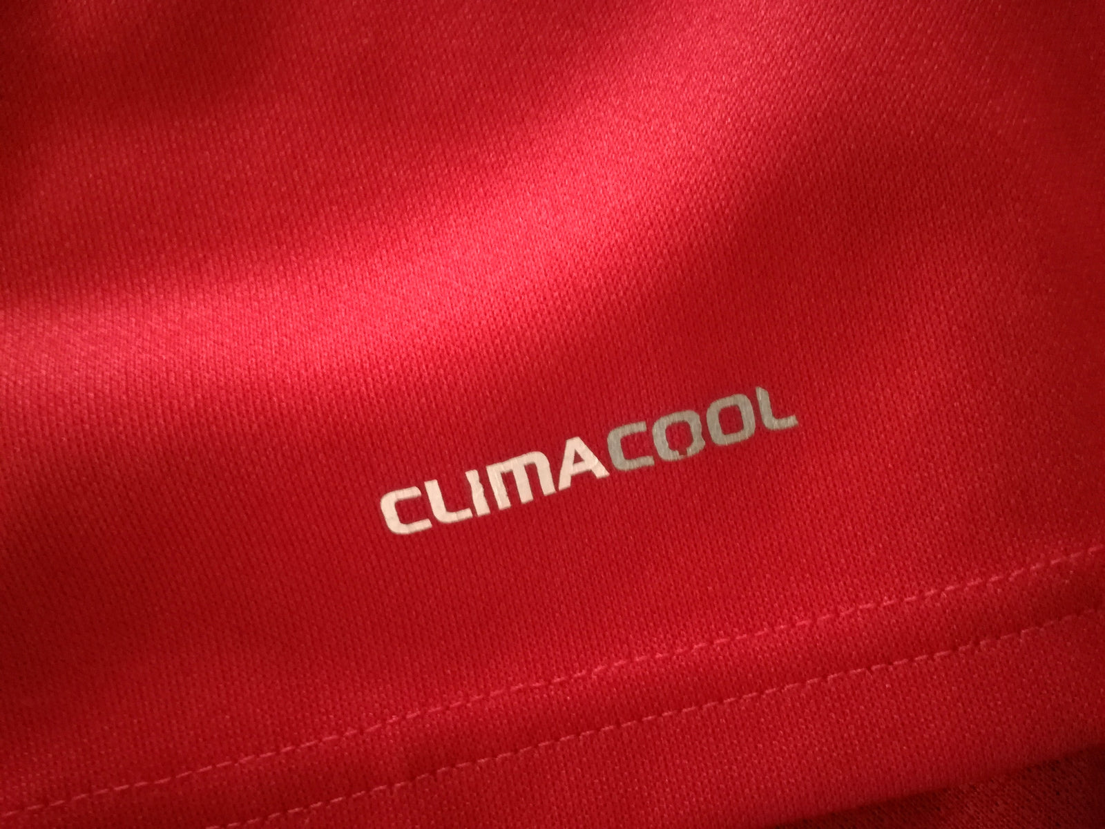 2009 British & Irish Lions Rugby Shirt (L)