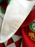 2013 British & Irish Lions 'Supporters' Rugby Shirt (XL)