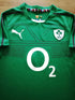 2013/14 Ireland Home Pro-Fit Rugby Shirt
