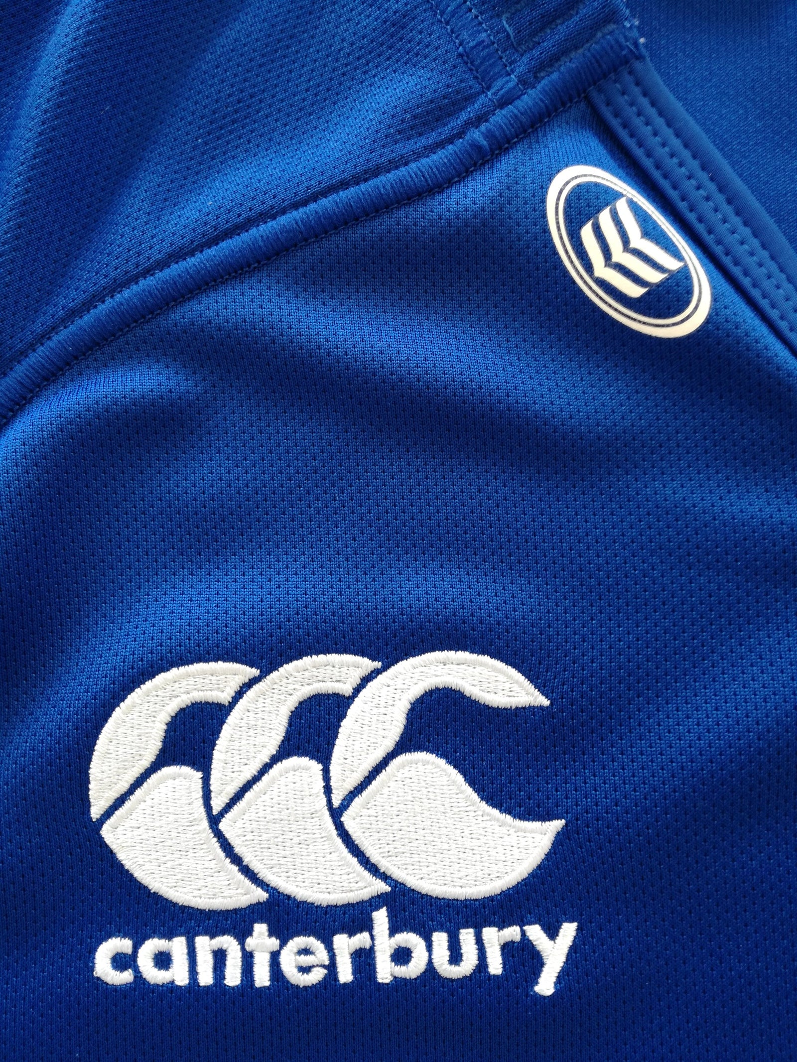 2013/14 Leinster Home Pro-Fit Rugby Shirt (M)
