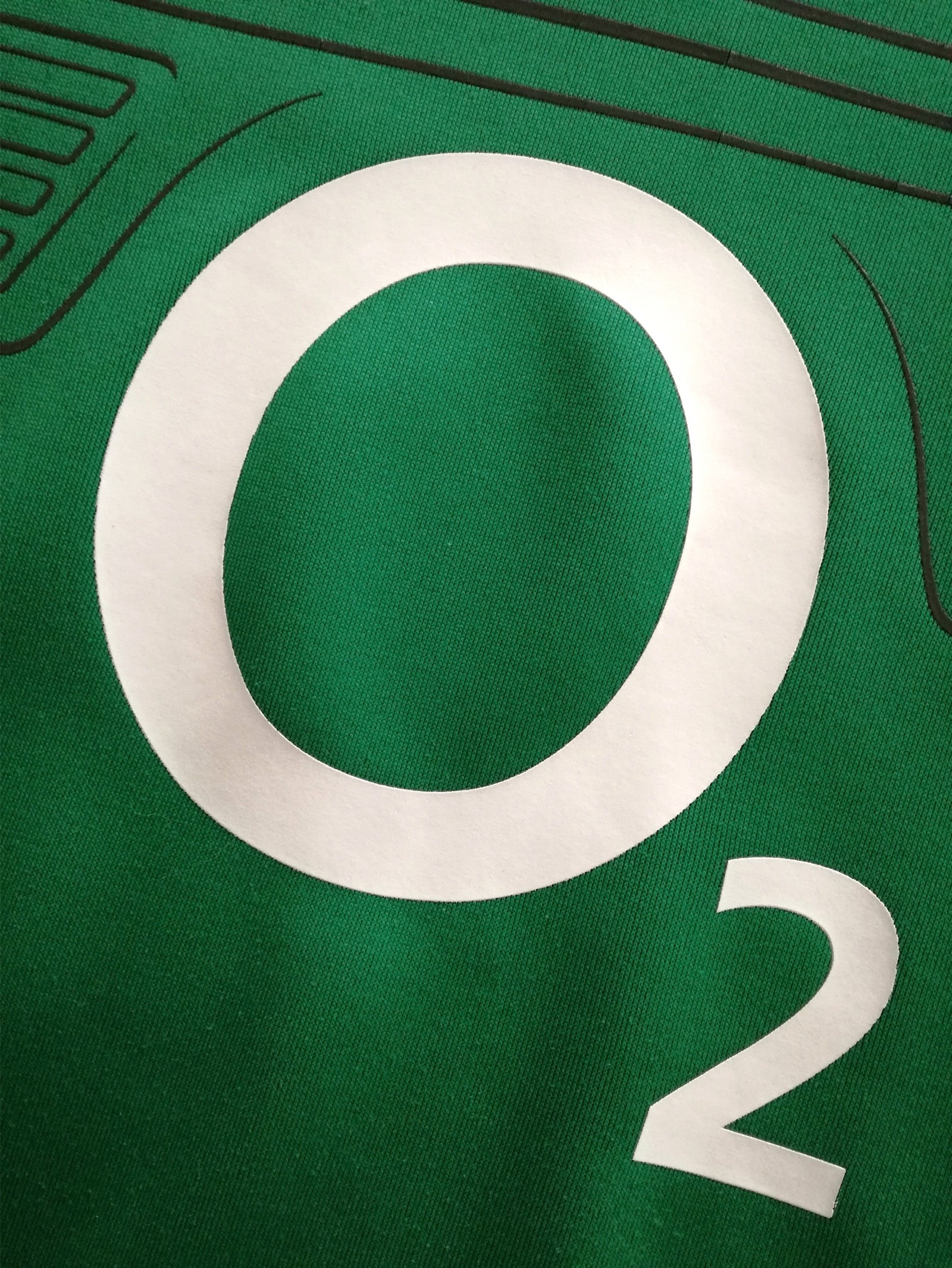 2013/14 Ireland Home Pro-Fit Rugby Shirt (L)