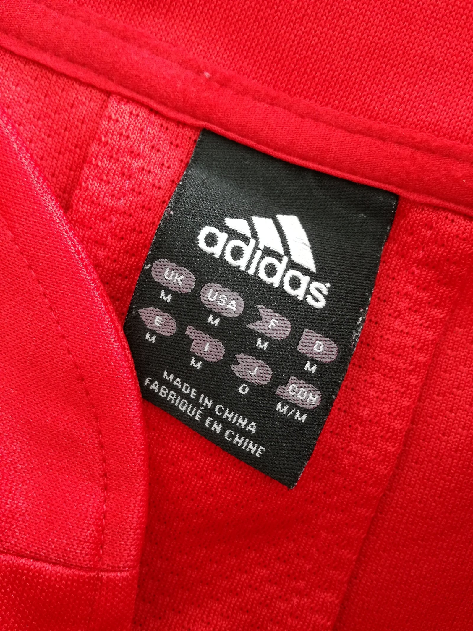 2009 British & Irish Lions Rugby Shirt (M)