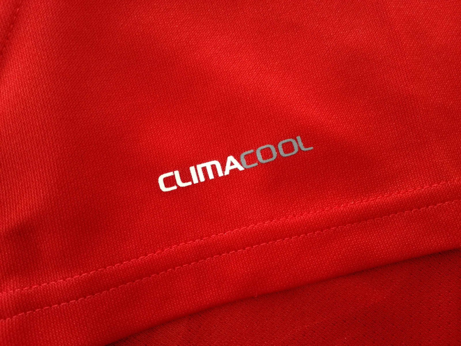 2009 British & Irish Lions Rugby Shirt (L)