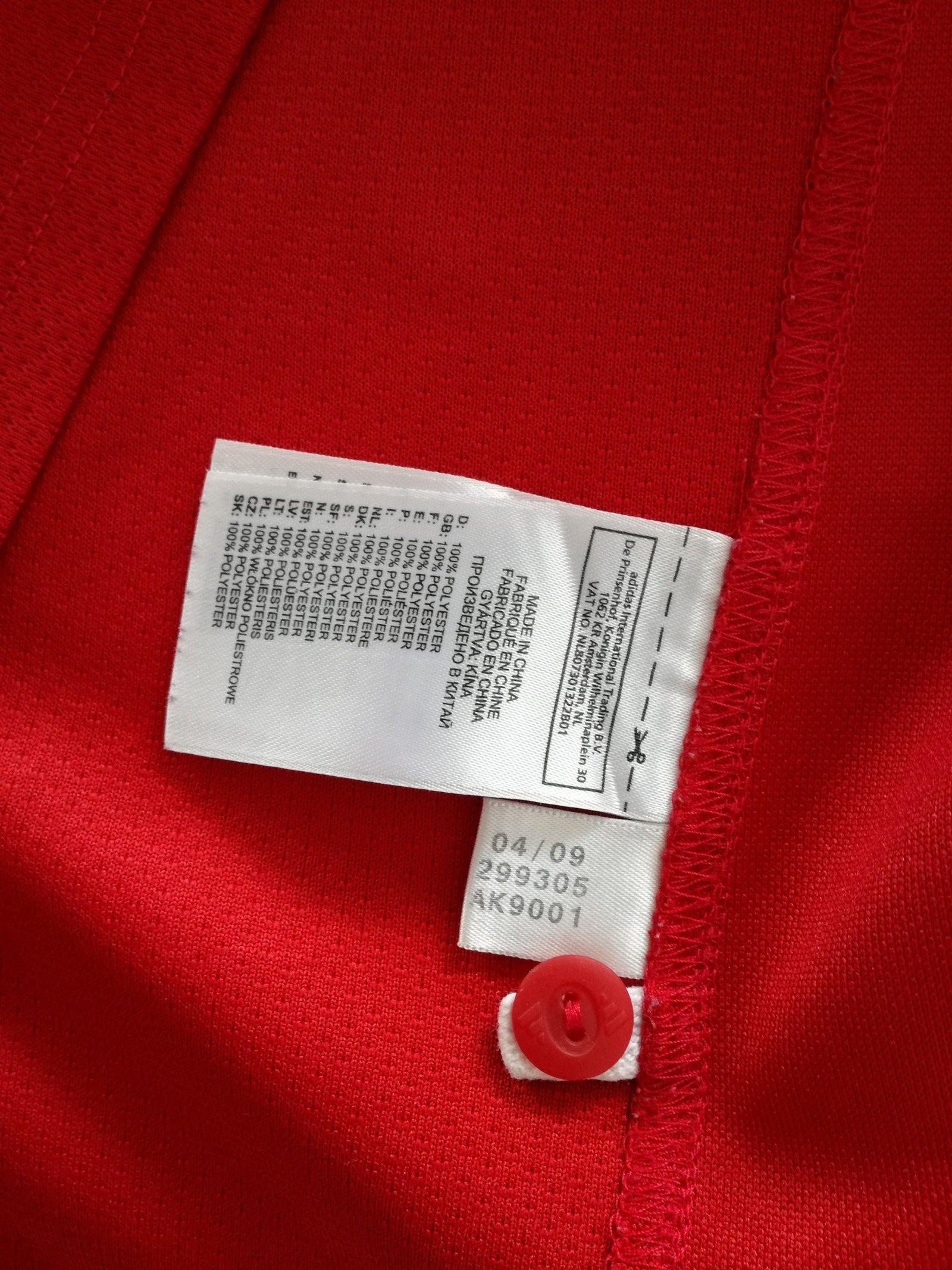 2009 British & Irish Lions Rugby Shirt (L)