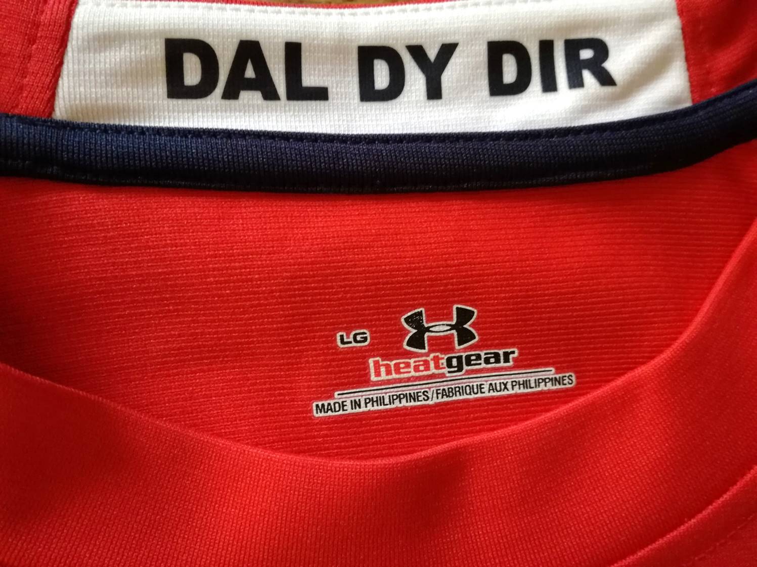 2010/11 Wales Home Rugby Shirt. (L)