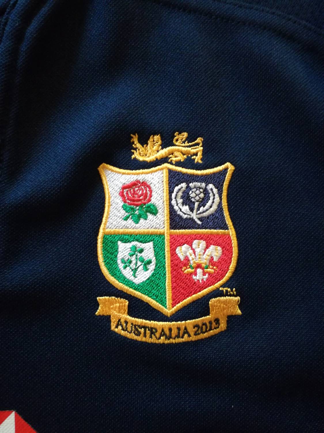 2013 British & Irish Lions Training Shirt - Navy (L)