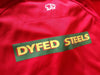2009/10 Scarlets Home Rugby Shirt (S)