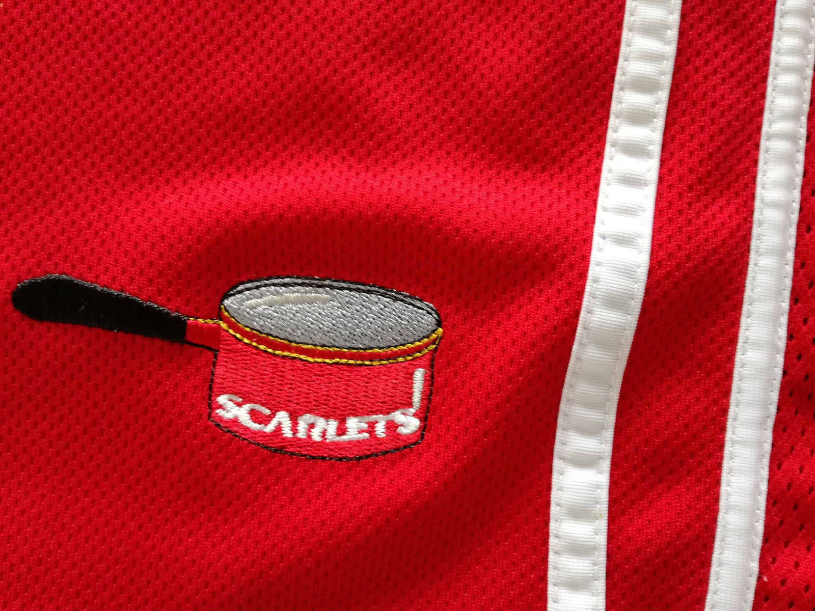 2005/06 Scarlets Home Rugby Shirt (L)