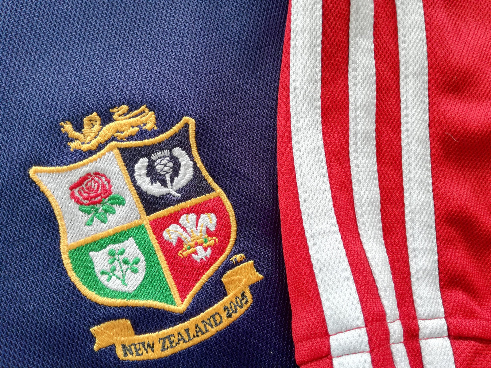 2005 British & Irish Lions Training T-Shirt (XL)