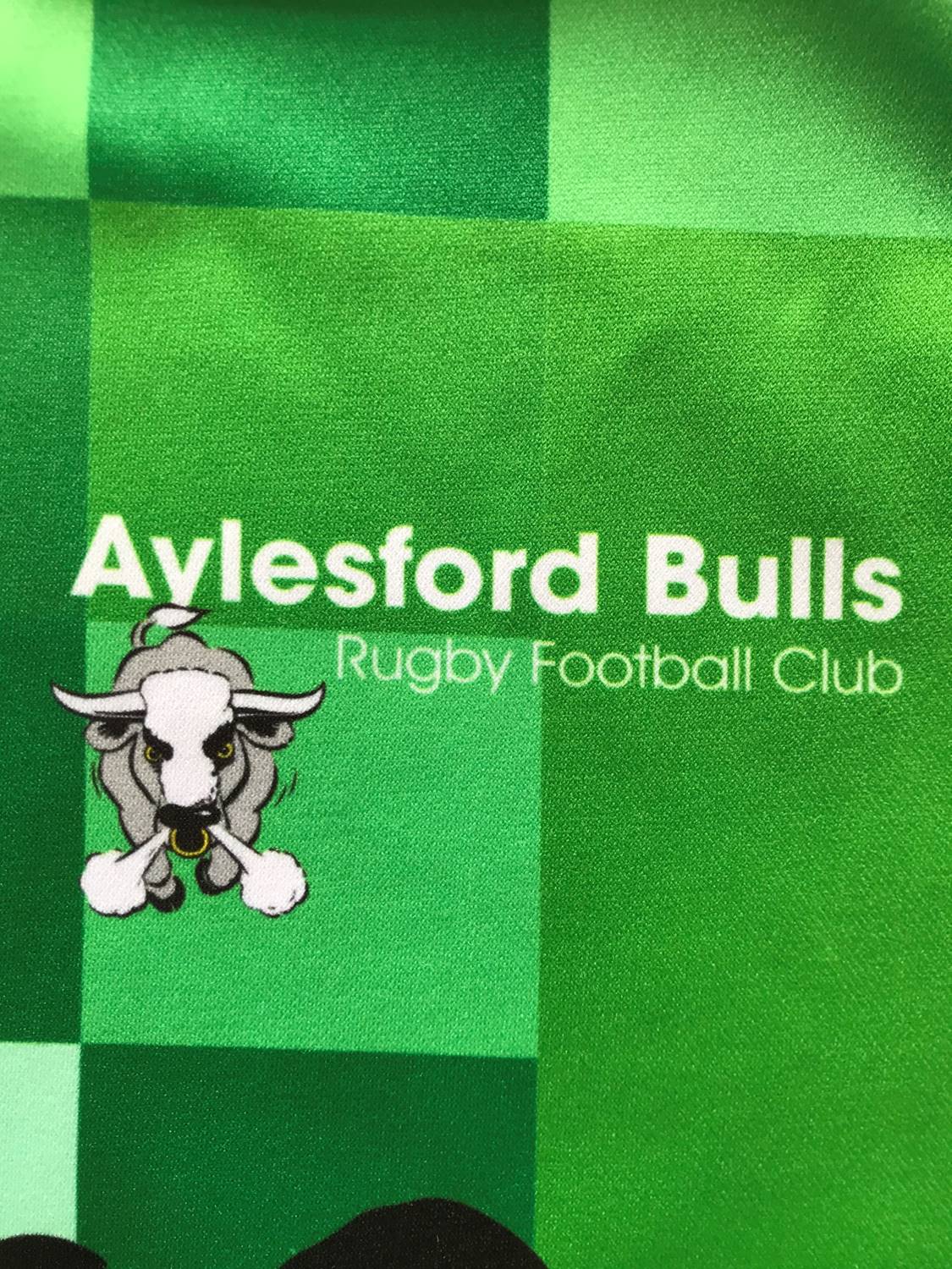 2019 Ayelsford Bulls Minis Tour Rugby Shirt (L)